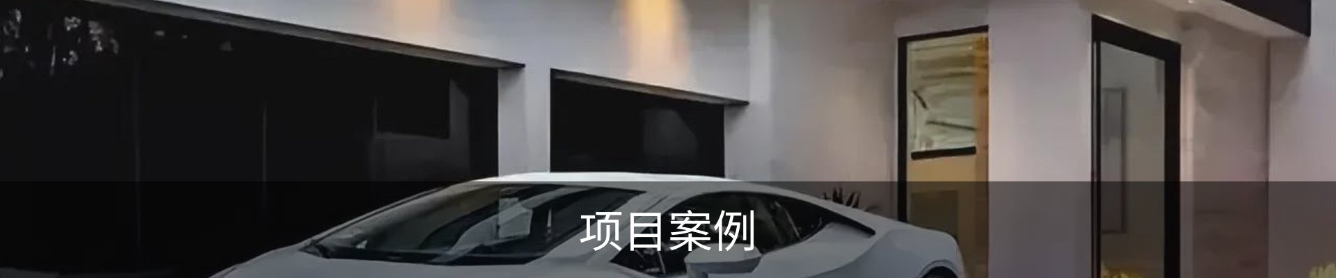项目案例
