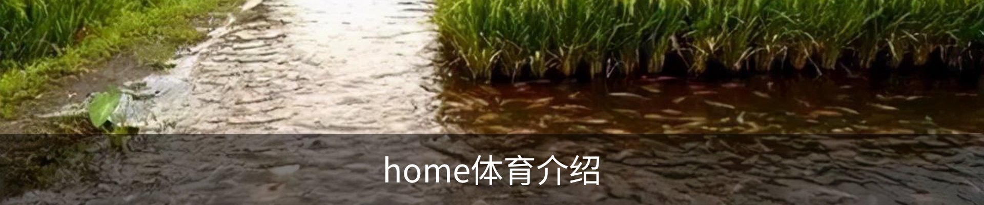 home体育介绍